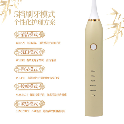 5 Working Modes Portable Ultrasonic Electric Toothbrush Rechargeable Cordless